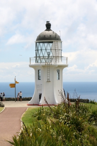 whangarei (42)